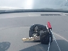 1G1ZS58FX7F****** Salvamento 2007 Chevrolet Malibu en Estado de Iowa