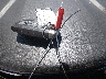 3FA6P0T93LR****** Salvage 2020 Ford Fusion in New Mexico State