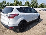 1FMCU0GD7HU****** Salvamento y Destrozados 2017 Ford Escape en Estado de Ohio