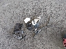 1FMCU0G99HU****** Wrecked 2017 Ford Escape in California State