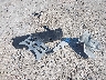 JF2GTACC0MG****** Wrecked 2021 Subaru Crosstrek in Wisconsin State