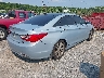 5NPEC4AC1DH****** Salvage and Wrecked 2013 Hyundai Sonata in Tennessee State