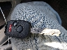 2HKYF18685H****** Salvamento 2005 Honda Pilot en Estado de California