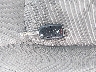 KNDPB3AC7F7****** Salvage 2015 Kia Sportage in Ohio State