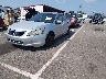 JHMCP26388C****** Used and Repairable 2008 Honda Accord in Memphis