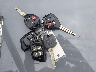 2T3BF4DV7CW****** Salvamento 2012 Toyota RAV4 en Estado de Virginia Occidental