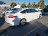 3FA6P0PU2DR****** Salvage and Wrecked 2013 Ford Fusion in California State