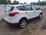1FMCU0F74KU****** Salvamento y Destrozados 2019 Ford Escape en Estado de Mississippi