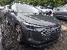 WA13AAGU0S2****** Salvage and Wrecked 2025 Audi All-new Q5 in Dream Rides