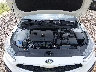3KPF24AD0ME****** Reparables 2021 Kia Forte en Greenville
