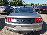 1FA6P8TH3L5****** Usados 2020 Ford Mustang