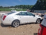 2G61N5S32H9****** Usados 2017 Cadillac XTS en Estado de Tennessee