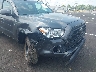 3TMCZ5ANXPM****** Salvage and Repairable 2023 Toyota Tacoma in Tennessee State