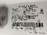NM0LS7F28K1****** Used 2019 Ford Transit Connect in Concord