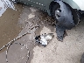 1N4AL21E78N****** Wrecked 2008 Nissan Altima in Maryland State