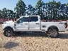 1FT8W2BT7RE****** Salvage 2024 Ford F-250