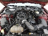 1FATP8EM6F5****** Reparables 2015 Ford Mustang en Fort Myers