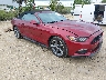 1FATP8EM6F5****** Salvamento y Destrozados 2015 Ford Mustang en Fort Myers