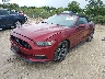 1FATP8EM6F5****** Usados y Reparables 2015 Ford Mustang en Fort Myers