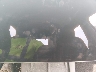 7SAYGDEE1PA****** Salvage 2023 Tesla Model Y in Electric Vehicle Auctions
