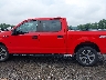 1FTEW1EP5LK****** Salvage 2020 Ford F-150