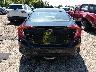 2HGFC2E83LH****** Destrozados 2020 Honda Civic
