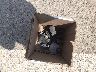 JM3KFACM9K0****** Repairable 2019 Mazda CX-5