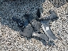 5NPDH4AE9GH****** Destrozados 2016 Hyundai Elantra en Estado de Ohio