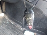 2C3CDYAG2EH****** Repairable 2014 Dodge Challenger in Raleigh