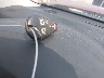2C4RC1BG6CR****** Salvamento 2012 Chrysler Town & Country en Estado de Iowa