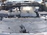 JTEBU5JR5E5****** Repairable 2014 Toyota 4Runner in High Point