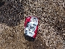 1C6RR7LT5KS****** Destrozados 2019 RAM 1500 en Estado de Luisiana