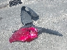 JM3KFBDM4M0****** Wrecked 2021 Mazda CX-5 in Florida State
