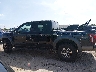 1FTFW1RG4HF****** Salvage 2017 Ford F-150