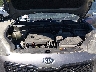 KNDPM3AC6K7****** Repairable 2019 Kia Sportage in Seattle