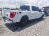 1FTFW1E50PK****** Salvamento y Destrozados 2023 Ford F-150 en Estado de Luisiana