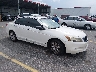 1HGCP36898A****** Salvamento y Destrozados 2008 Honda Accord en Lexington