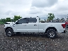 1FTFW3L80RK****** Salvamento 2024 Ford F-150