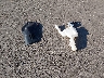 3FADP4BJ3GM****** Wrecked 2016 Ford Fiesta in Ohio State