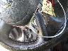 JN8AZ2KRXAT****** Salvage 2010 Nissan Cube in Texas State