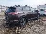 2T3WFREV5HW****** Salvamento y Destrozados 2017 Toyota RAV4 en Estado de Arkansas