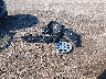 5YFB4MDE1TP****** Wrecked 2026 Toyota Corolla in Pennsylvania State