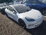 5YJ3E1EBXLF****** Salvage and Wrecked 2020 Tesla Model 3 in Electric Vehicle Auctions