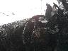 1C4RJFAG7CC****** Salvamento 2012 Jeep Grand Cherokee en Fort Worth North