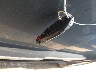 1C4RJFAG7CC****** Salvamento 2012 Jeep Grand Cherokee en Estado de Texas