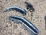 2GNALDEK6D6****** Wrecked 2013 Chevrolet Equinox in Indiana State