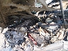 5TBRT34153S****** Reparables 2003 Toyota Tundra en Lexington