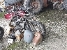 6382*** Salvage and Repairable 1980 BMW R65 in Richmond