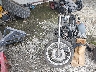 6382*** Used and Repairable 1980 BMW R65 in Virginia State