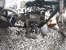6382*** Wrecked 1980 BMW R65 in Richmond
